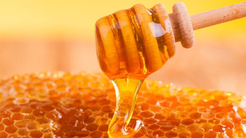قیمت عسل وحشی کردستان از تولید به مصرف