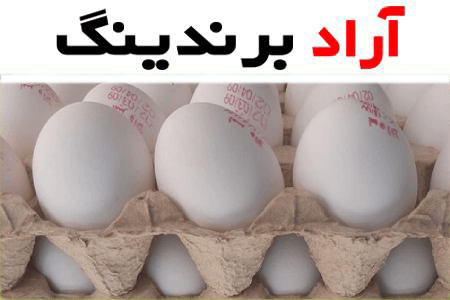 قیمت شانه تخم مرغ + پخش تولیدی عمده کارخانه