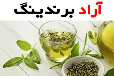خرید  چای سبز در بازار با قیمت استثنایی