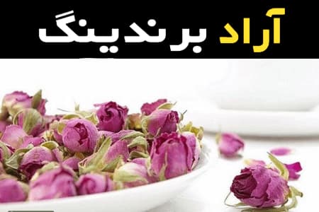 غنچه گل محمدی کیلویی و خواص درمانی که باید بدانید