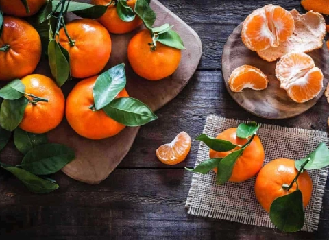 راهنمای خرید نارنگی محلی مازندران با شرایط ویژه و قیمت استثنایی