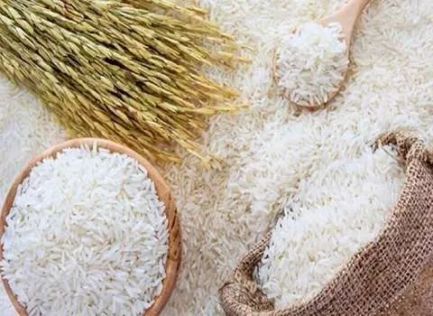 راهنمای خرید برنج درجه یک گیلان با شرایط ویژه و قیمت استثنایی