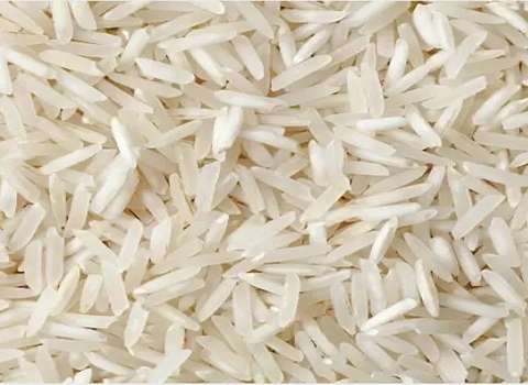 برنج عنبربو جنوب همراه با توضیحات کامل و آشنایی