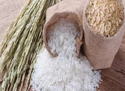 برنج دم سیاه درجه یک آشنایی صفر تا صد قیمت خرید عمده