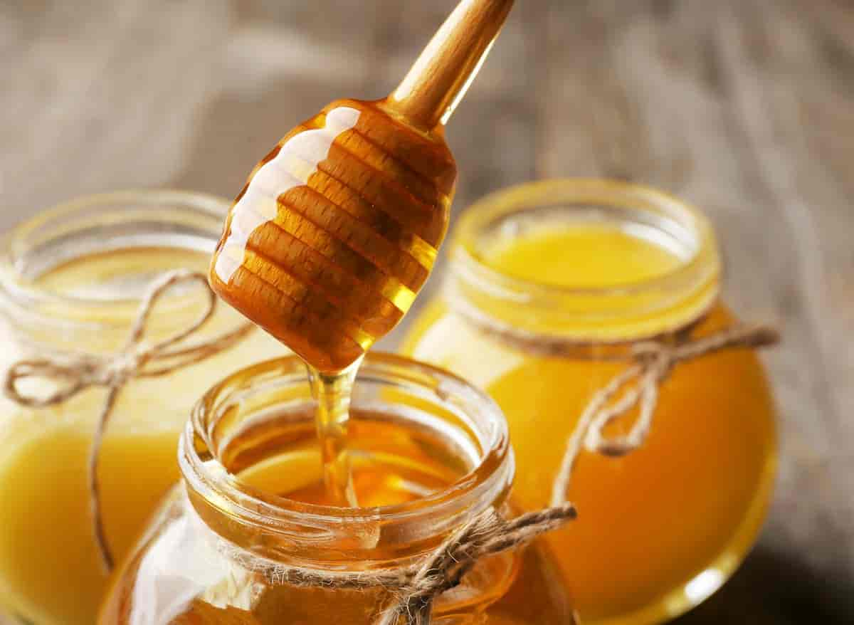 عسل در روسیه؛ سفید رنگ غلیظ خامه ای شکل بهبود زخم عفونی