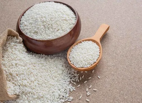 برنج شیرودی شمال + قیمت خرید، کاربرد، مصارف و خواص
