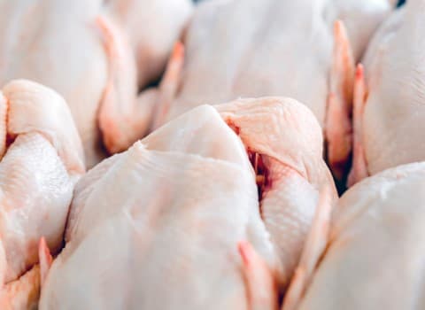 گوشت مرغ در عراق؛ تازه ارگانیک بدون آنتی بیوتیک (1200 1800) گرم