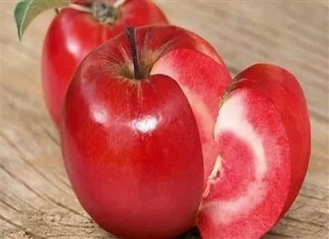قیمت سیب توسرخ اصلاح شده + خرید