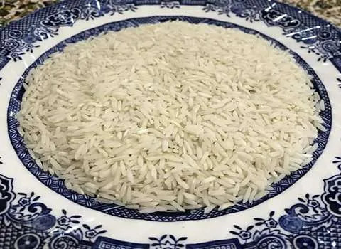 برنج دم سیاه استخوانی؛ عطری 2 نوع طارم هاشمی