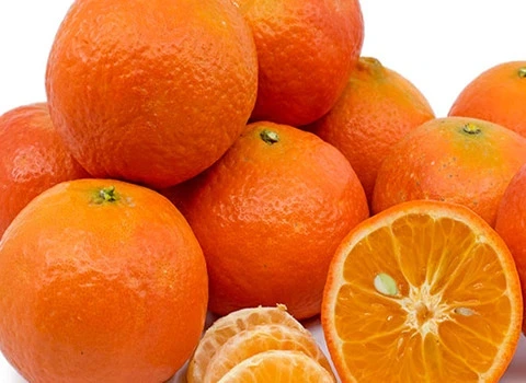 مرجع قیمت انواع نارنگی یافا + خرید ارزان