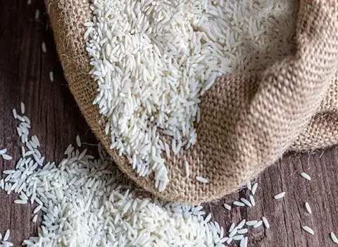 خرید برنج هاشمی استخوانی گیلان با قیمت استثنایی