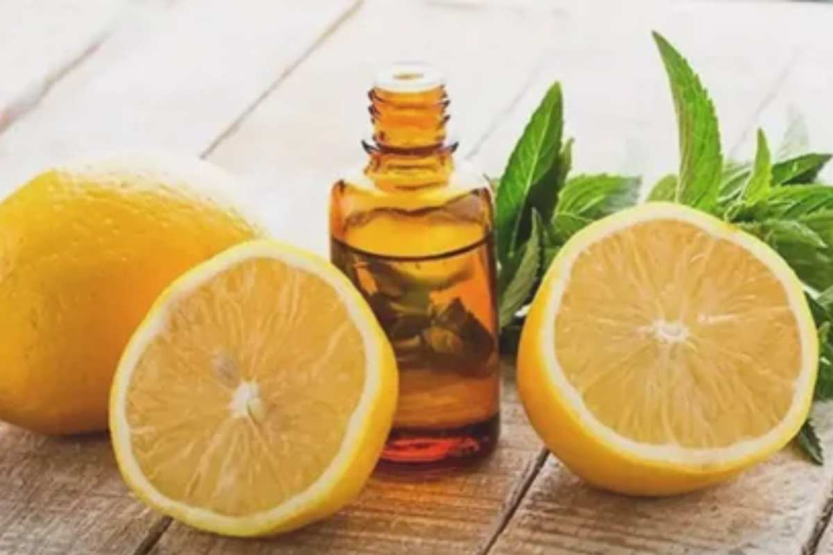 مشخصات اسانس طبیعی لیمو ترش