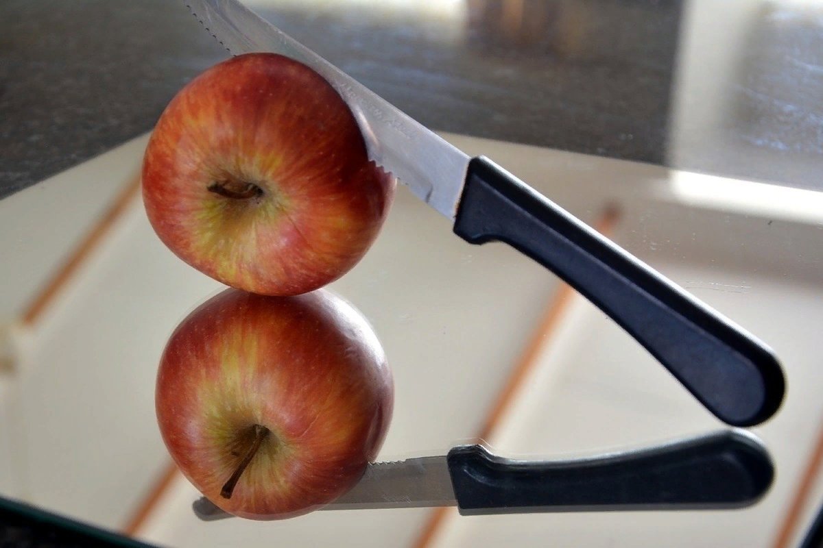 مشخصات چاقو میوه خوری برزیلی