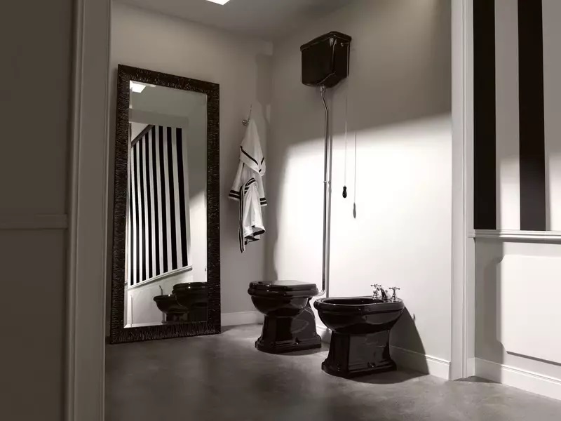 توالت فرنگی ایرانی مشکی.