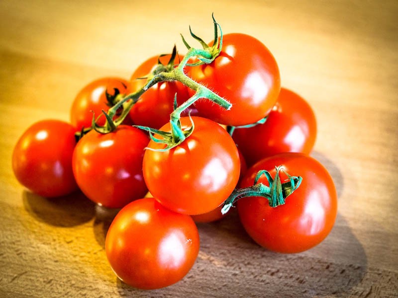 قیمت گوجه فرنگی امروز اهواز + خرید و فروش