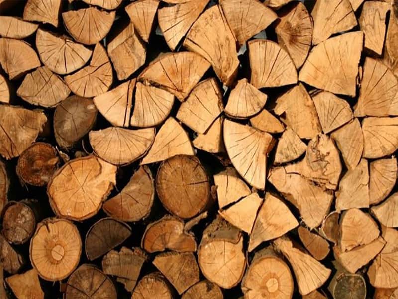 خرید چوب چنار اصفهان