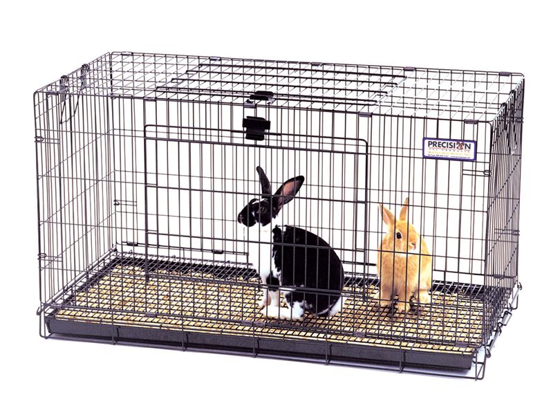 قفس حمل حیوانات خانگی
