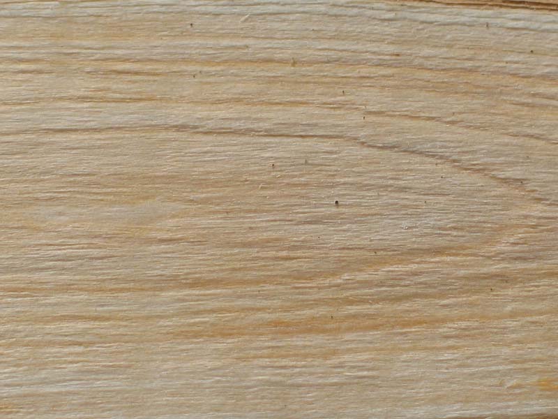 قیمت چوب جنگلی توسکا + خرید و فروش