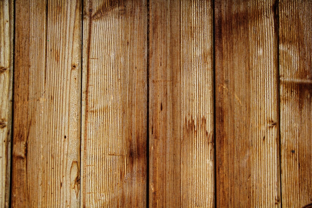 مشخصات چوب نراد برای سقف