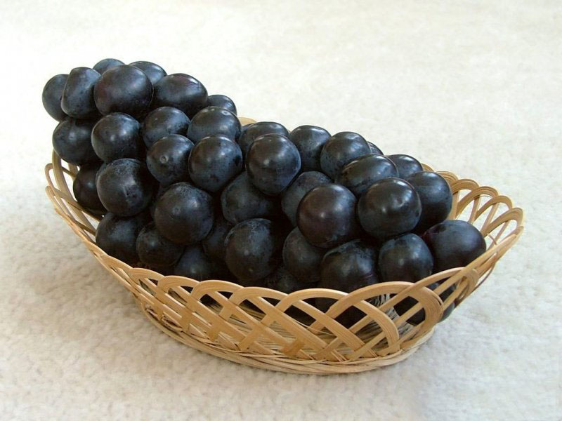 مشخصات انگور ژاپنی سیاه