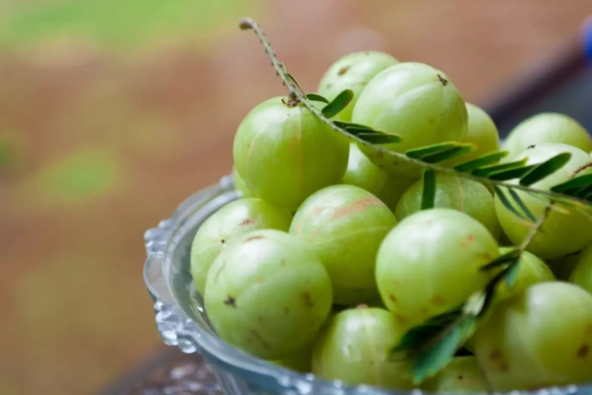 مشخصات انگور فرنگی ژاپنی