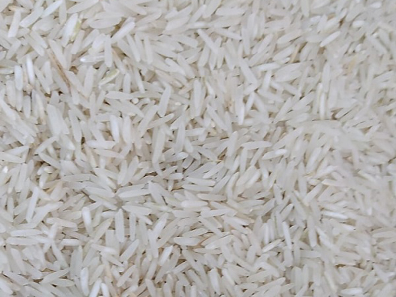 قیمت برنج دانه بلند پاکستانی طبیعت + خرید و فروش