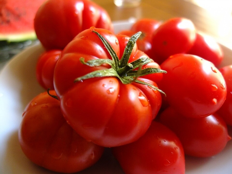مشخصات گوجه گلخانه ای جلفا