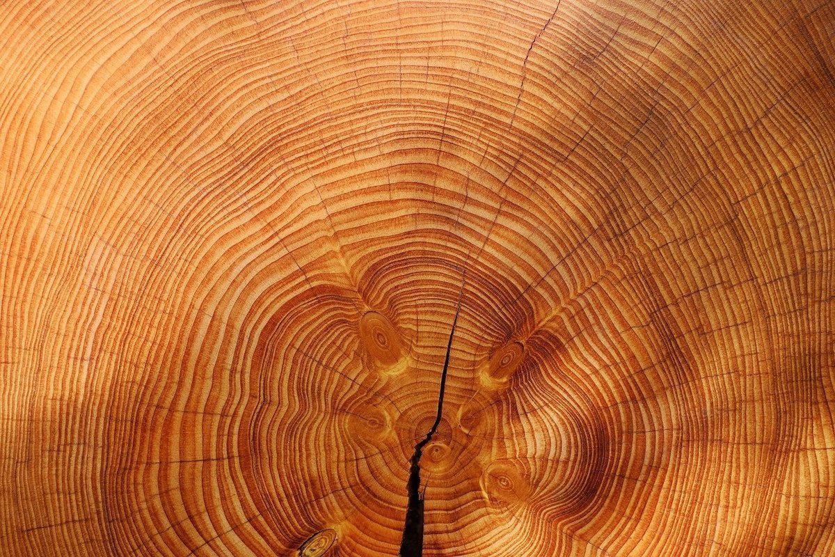 مشخصات چوب گردو در طراحی داخلی