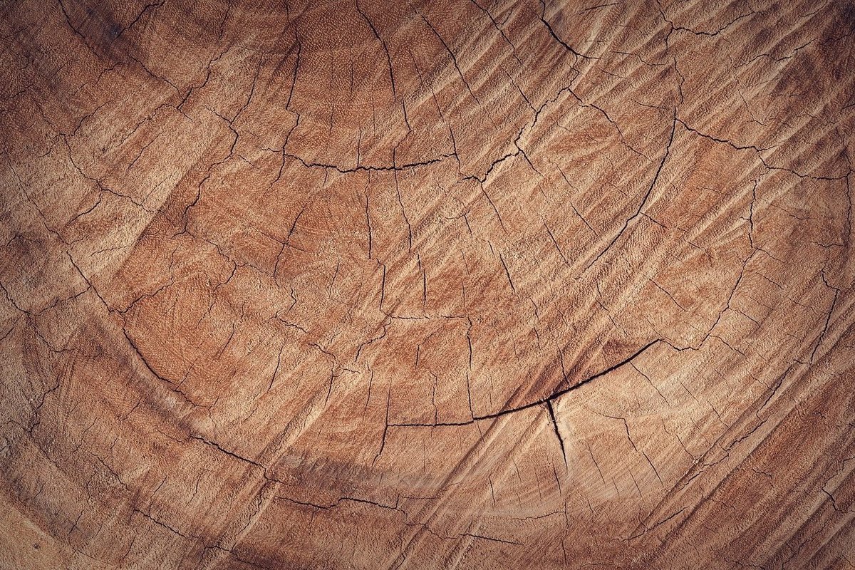 مشخصات چوب آبنوس در ایران