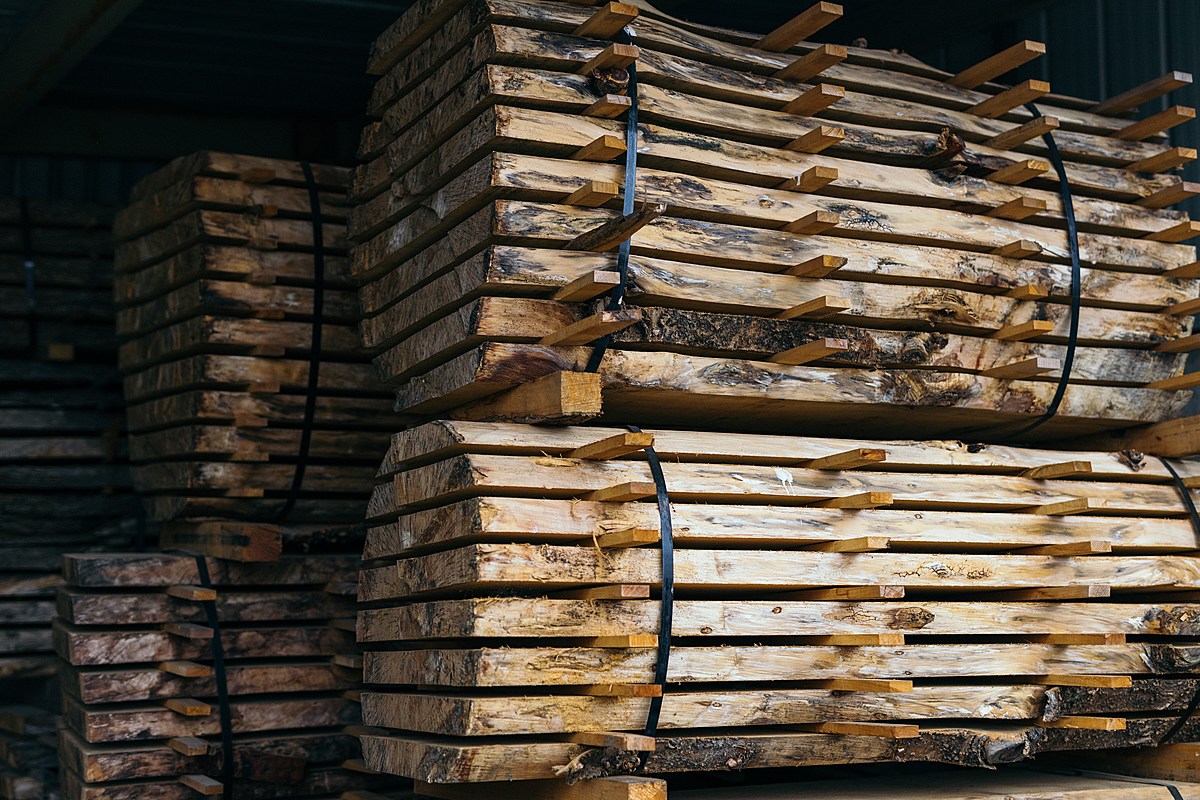 مشخصات چوب خشک سپیدار