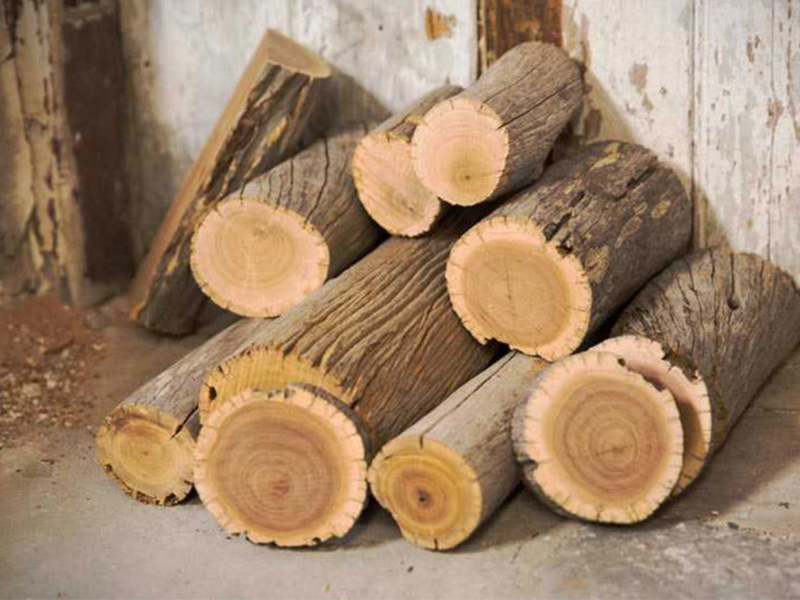 مشخصات چوب درخت زیتون