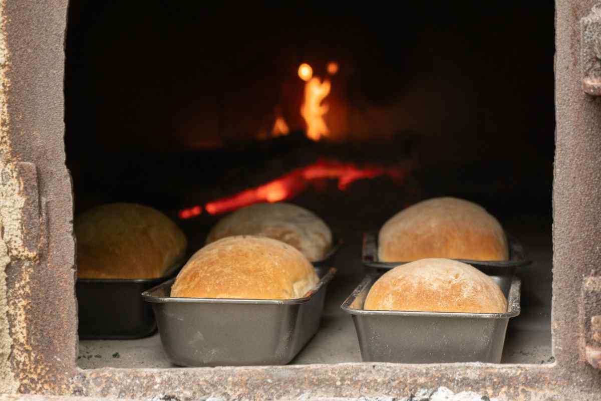 قیمت نان هیزمی یزد + خرید و فروش