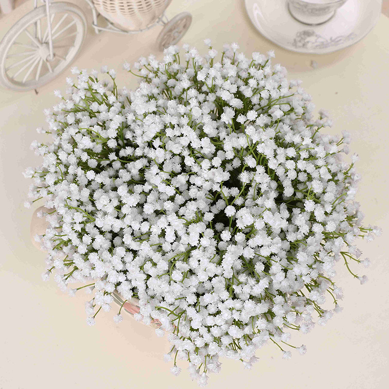 مشخصات گل ژیپسوفیلا سفید