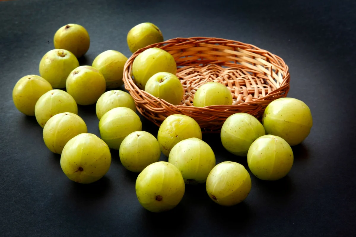 مشخصات انگور فرنگی امریکایی
