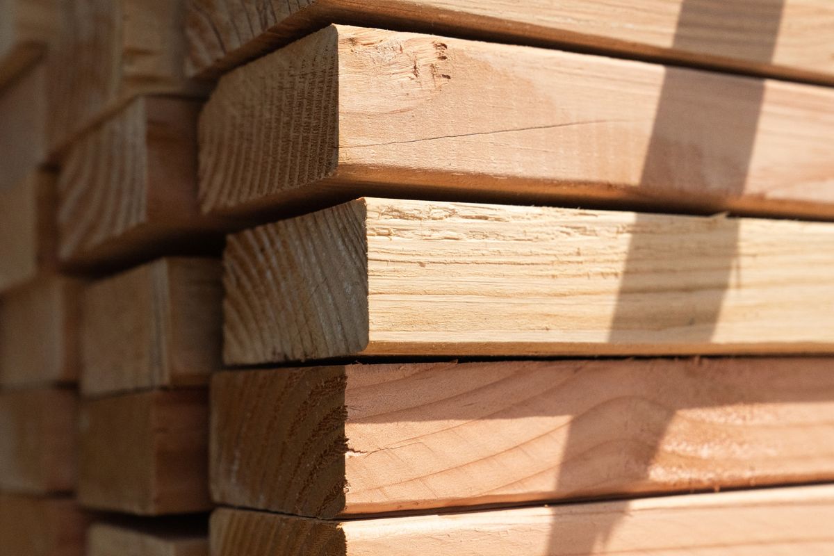 قیمت چوب ترمو در رشت + خرید و فروش