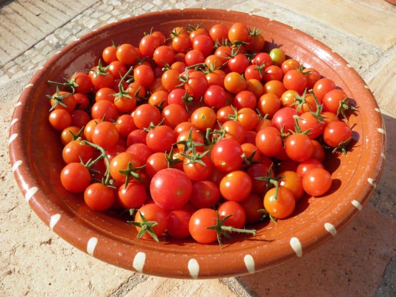 گوجه فرنگی در میدان تره بار کرج