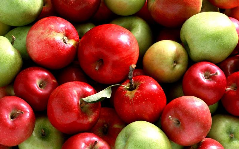 سیب مراغه صادراتی