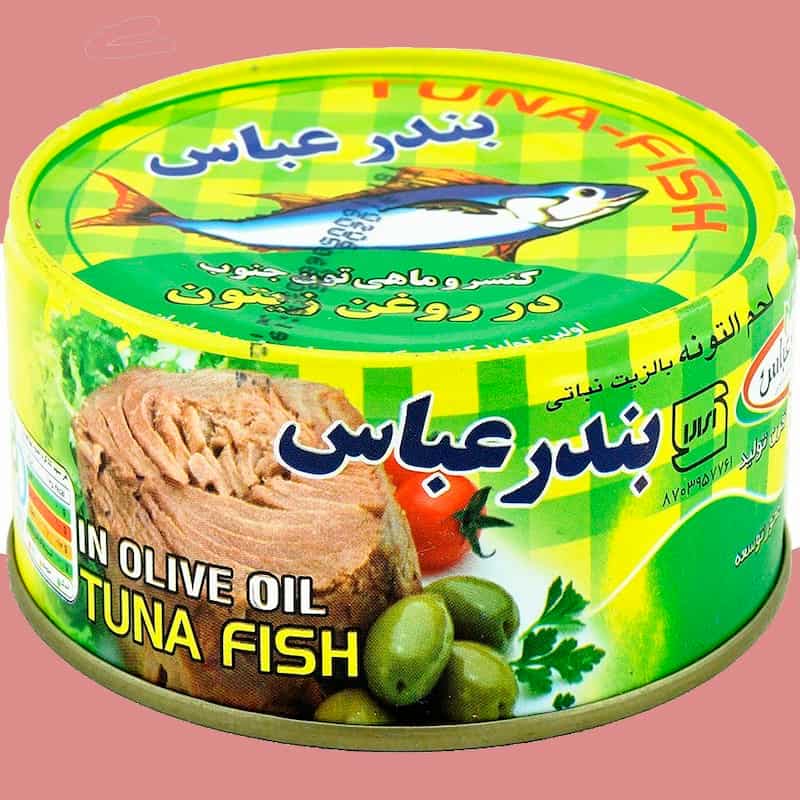 تن ماهی ارزان قیمت