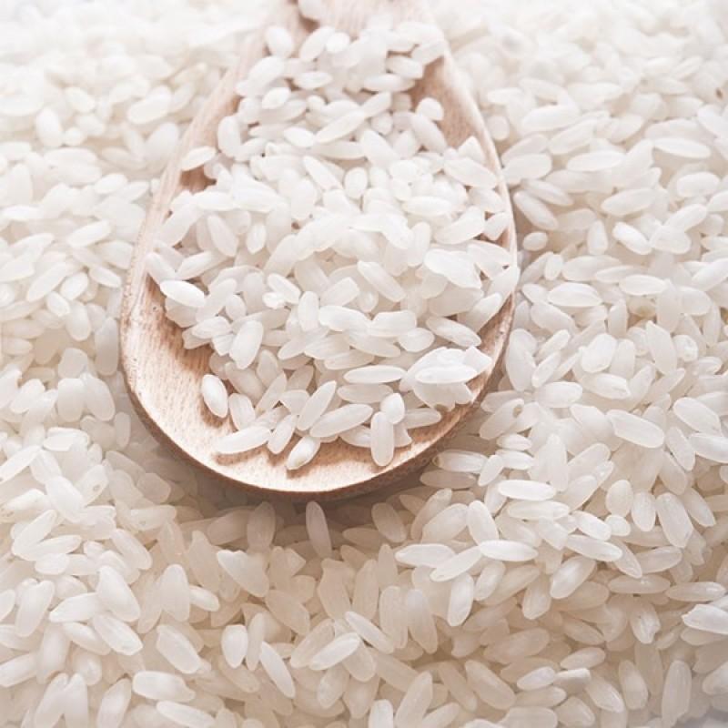برنج طبیعت