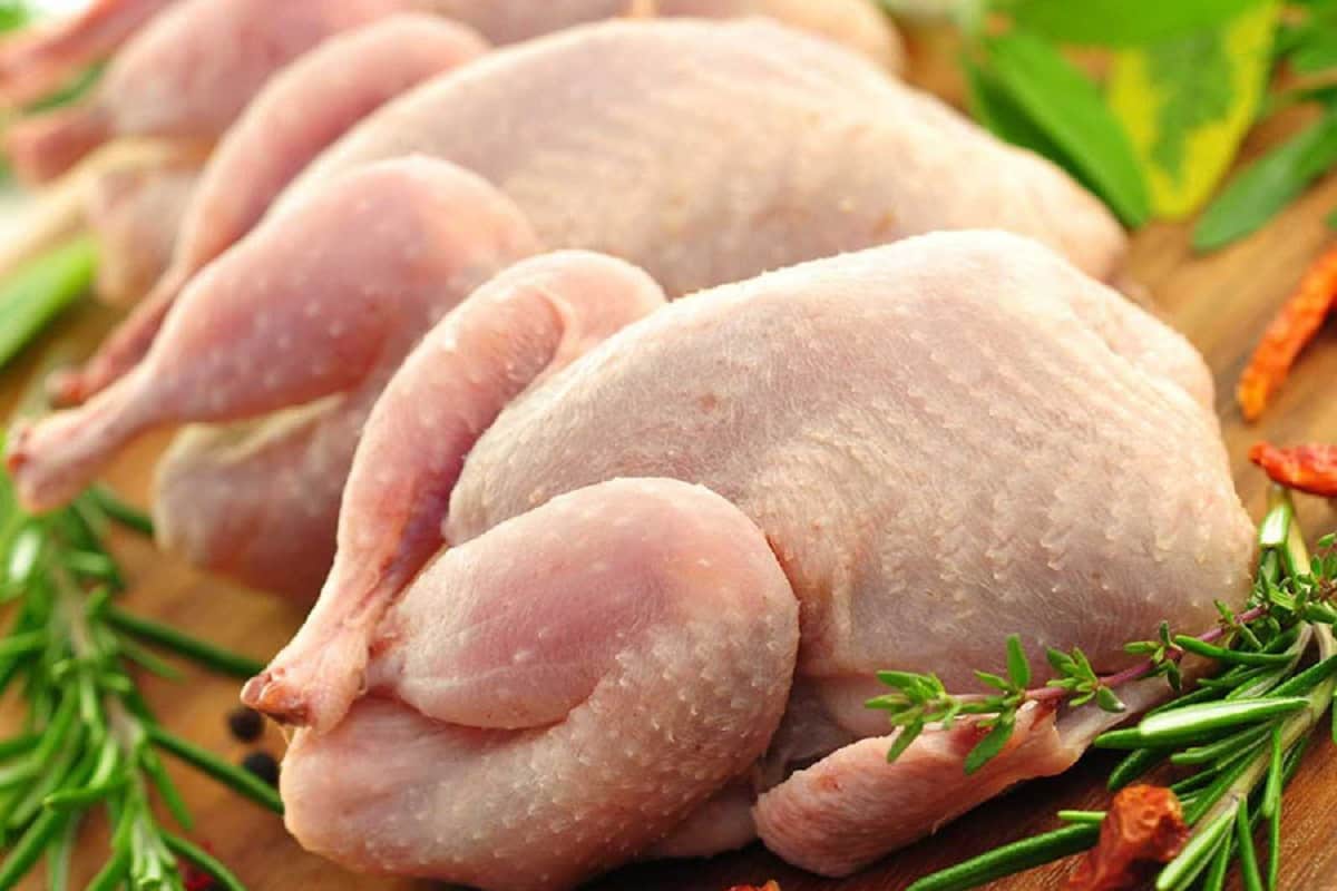 گوشت مرغ صنعتی