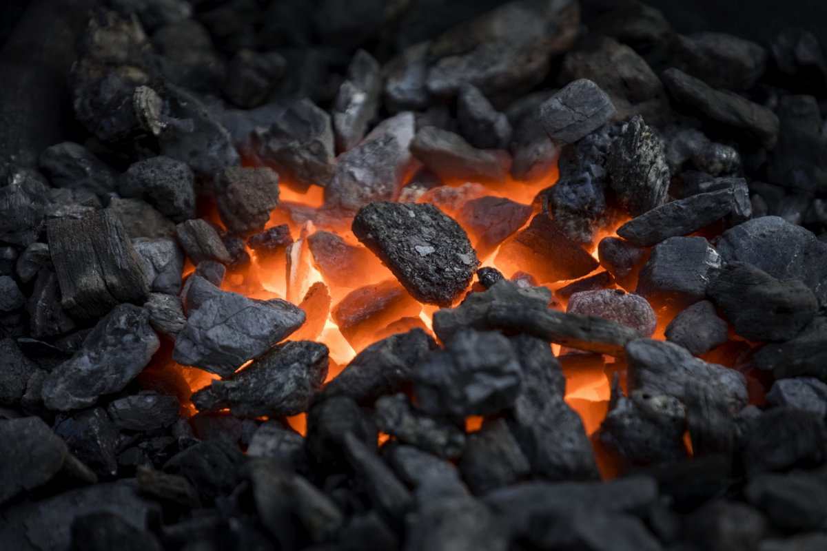 زغال بلوط در تهران