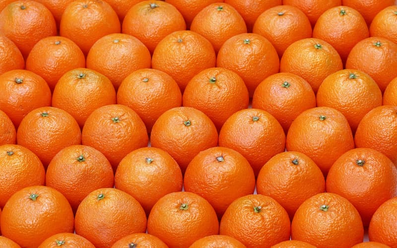 پرتقال مراکش