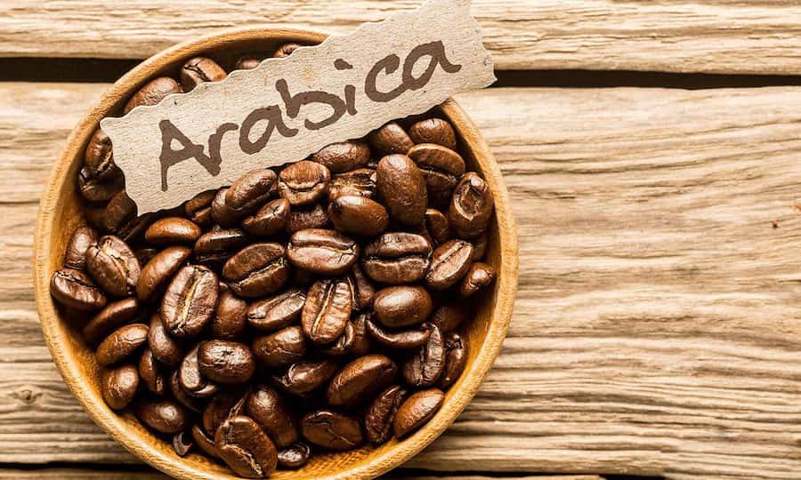 دان قهوه عربیکا