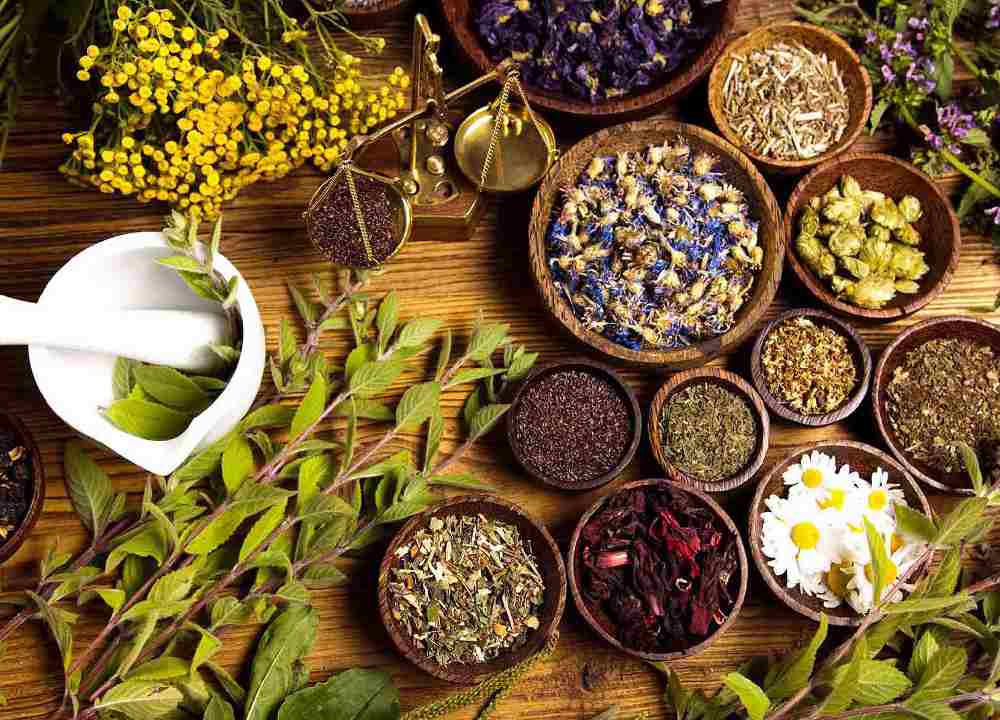 گیاهان دارویی صادراتی در ایران