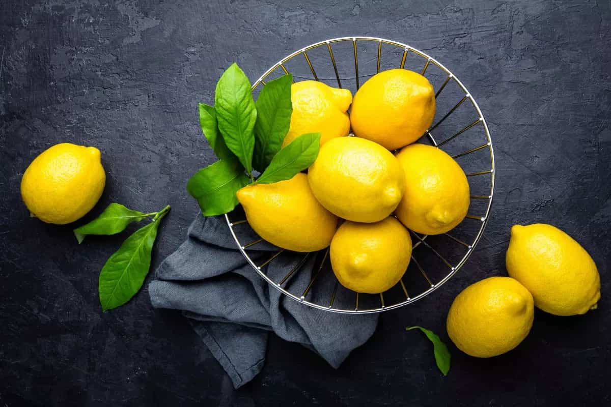 لیمو ترش شیرازی