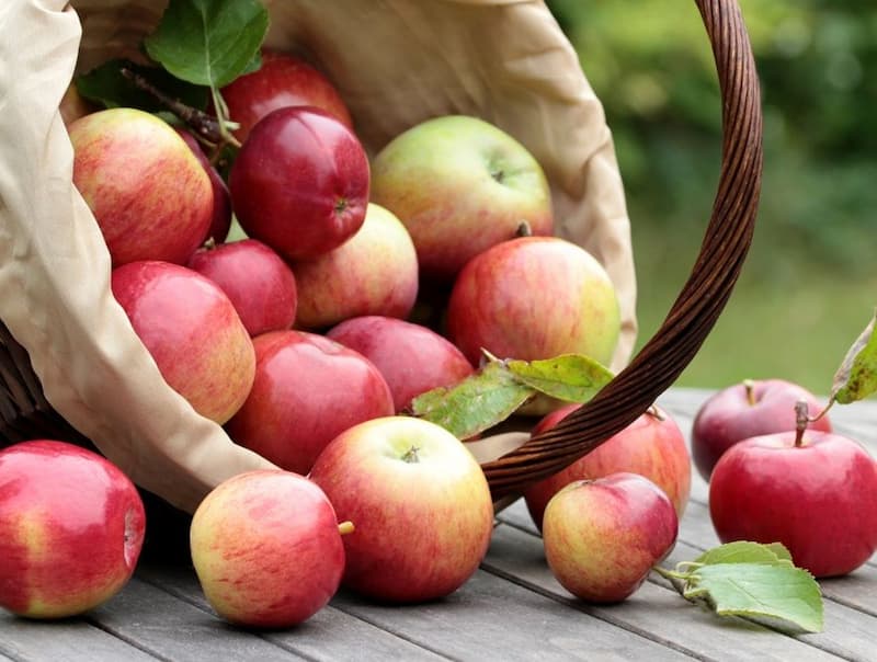 سیب درختی صادراتی به پاکستان