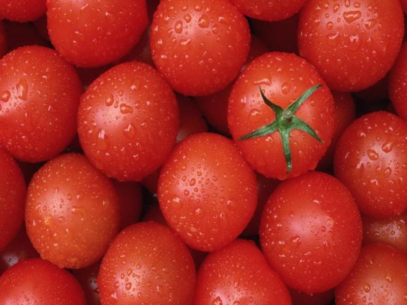 گوجه فرنگی سبز برای ترشی