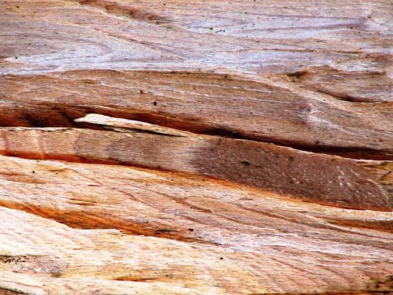 چوب خام برای رزین