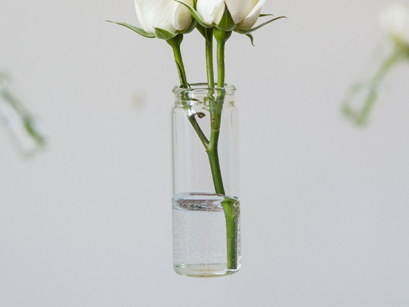 گلدان شیشه ای استوانه ای کوچک 