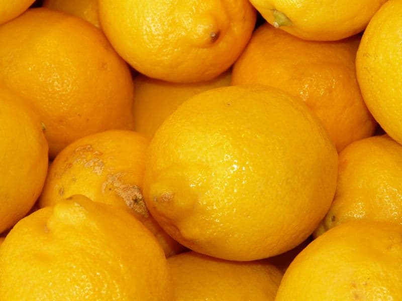 جلوگیری از تلخ شدن لیمو ترش در فریزر